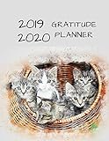 2019 2020 15 Months Kitten Cat Gratitude Journal Daily Planner: Academic Hourly Organizer In 15 Minu by ZenWerkz