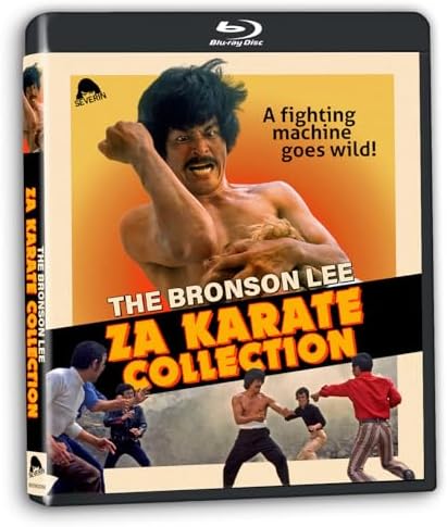 Amazon.com: Kung Fu Wing Chun : Jing Bai, Shaoqun Yu and Collin