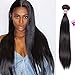 Aigemei 8A Virgin Brazilian Straight Hair one Bundle Deals 100% Unprocessed Virgin Human Hair Weaving Remy Human Hair Extensions 100g Natural Black Color 20