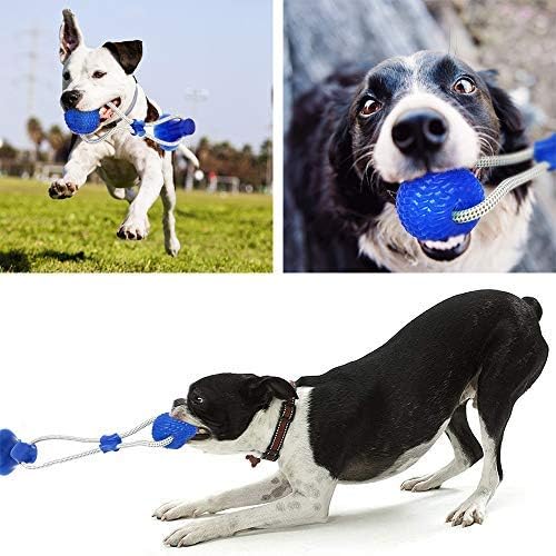 suction cup dog toy with ball