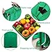 Home Kitchen Reusable Grocery Bags Set of 2, Foldable Shopping Tote Bag Organizer for Supermarket Trolley Cart Outdoor Camping, Holds Up to 40 lbs (Green)