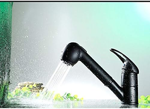 Kitchen Bathroom Pull Faucet Black Paint Style Shower And Water