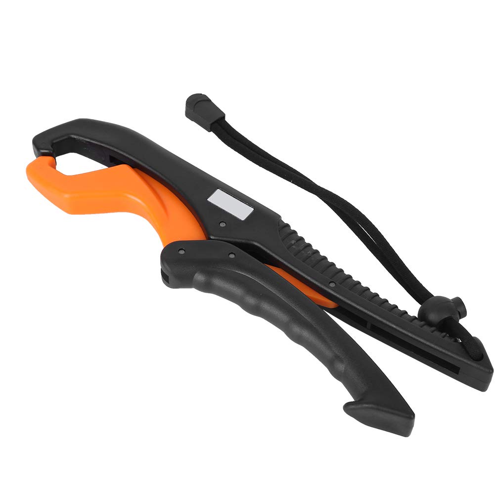 View 7