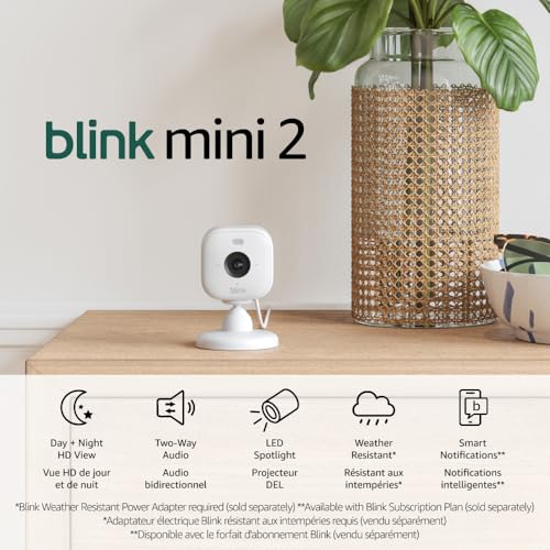 Blink Mini 2