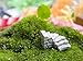 Ginsco 10pcs Miniature Fairy Garden Dollhouse Mediterranean Style DIY kit