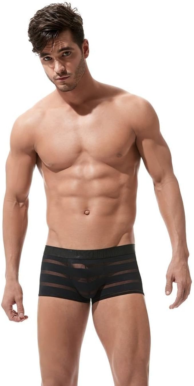 Gregg Homme Men's Encore Plus See Through Stripe Trunk 160605