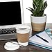 Average Joe JUMBO Set of 60 Paper Coffee Hot Cups with Travel Lids, Sleeves, and Stirrers Disposable Coffee Cups - 12OZ WHITE Hot Cups To Go Travel Mug Office/Party Pack Tea & Chocolate …