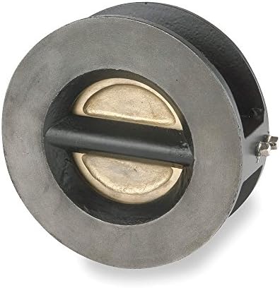 SSI Technologies - 1000-125WTIBB-T - 10 Double Disc Check Valve, Cast Iron, 125 Class Wafer Flange Connection Type