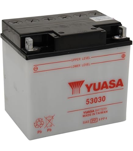 Amazon.com: Yuasa YUAM2230B 53030 Battery