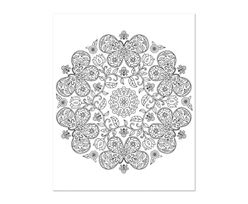 Color & Frame - In the Garden (Adult Coloring Book) Color & Frame - In the Garden (Adult Coloring Book) Spiral-bound