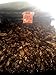 Whole Dried Chipotle Meco Chile 16 oz ‐ El Molcajete Brand for Mexican Recipes, Tamales, Salsa, Chili, Meats, Soups, Stews & BBQ