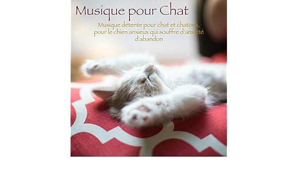 Musique Pour Chat Musique Détente Pour Chat Et Chatons