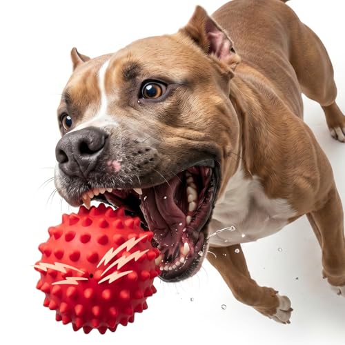 Apasiri 3.5''durable Squeaky Dog Ball