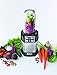 Nutri Ninja with Auto - iQ with Recipe Book (BL482Z)