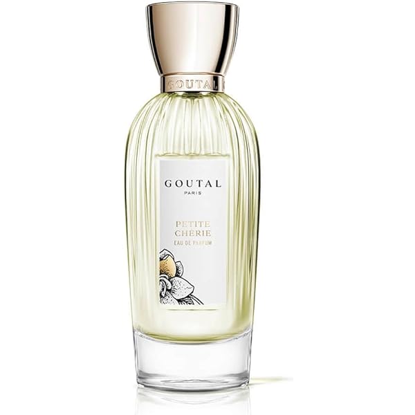 Amazon.com: Goutal Paris Songes Eau de Parfum 100 ml