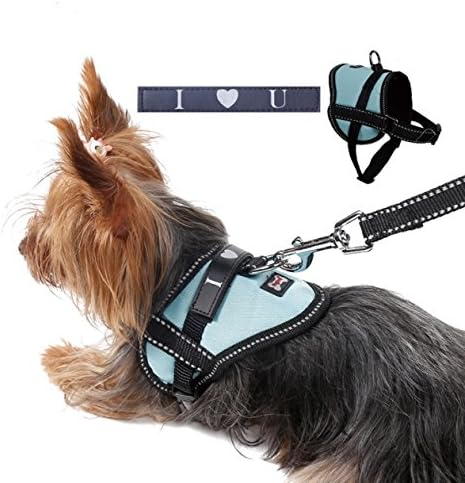 amazon service dog vest small