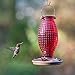Perky-Pet Red Hobnail Vintage Glass Hummingbird Feeder 8130-2