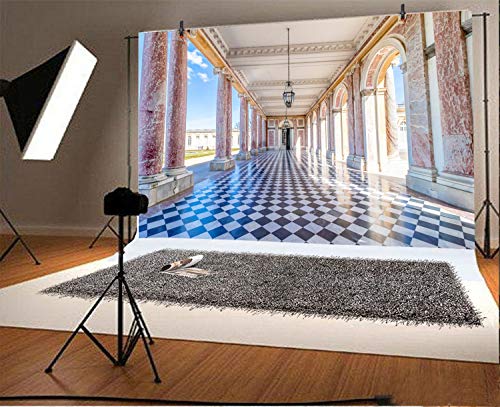 LFEEY 5x3ft Versailles Backdrop Famous Scenic Spots in France Photography Background Historic Building Mosaic Floor Blue Sky Holiday Party Backdrop Wedding Shooting Photo Studio
