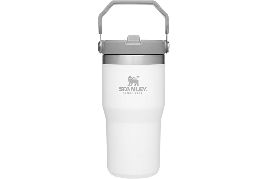 STANLEY IceFlow Flip Straw Tumbler with Handle 20 oz | Twist On Lid and Flip Up Straw | Leak Resistant Water Bottle | Insulat Book