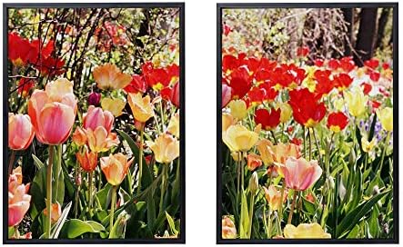 50x70cm X2枚 ライト高級 クリスタル磁器の装飾画 黒アルミ合金フレーム チューリップ花壇花夏 アートパネル 壁掛け絵画 インテリアアート 現代 壁飾り 部屋飾り 壁ポスター 絵画 玄関 おしゃれ モダン 壁掛け