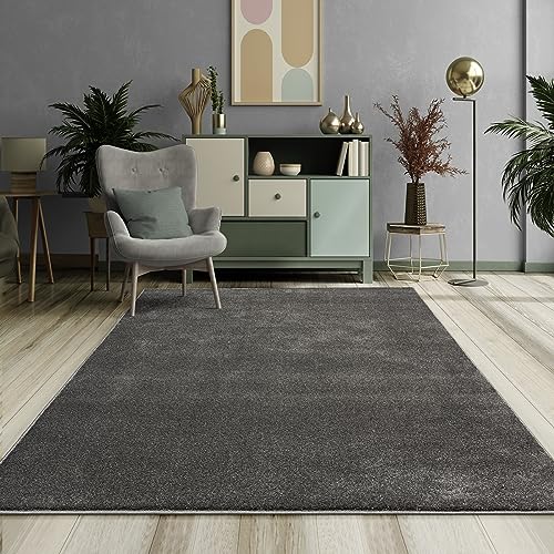 Mia's Teppiche Emely Moderner Weicher Kurzflor (17 mm) Wohnzimmer Teppich - Anthrazit - 120x170 cm