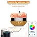 Essential Oil Diffuser Aromatherapy Diffuser - LOENDE Oil Diffuser Aroma Diffuser Cool Mist Humidifier Himalayan Salt Lamp Works with Alexa Google Home for Office Home Bedroom Living Room Yoga Spa
