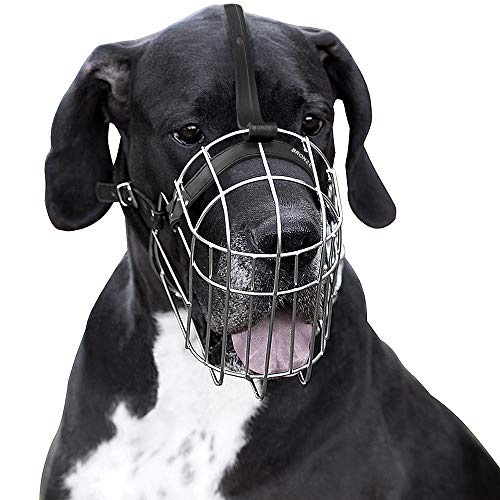 BronzeDog Metal Wire Basket Dog Muzzle Great Dane Mastiff Leather Adjustable Muzzles for Large Dogs - Image 4