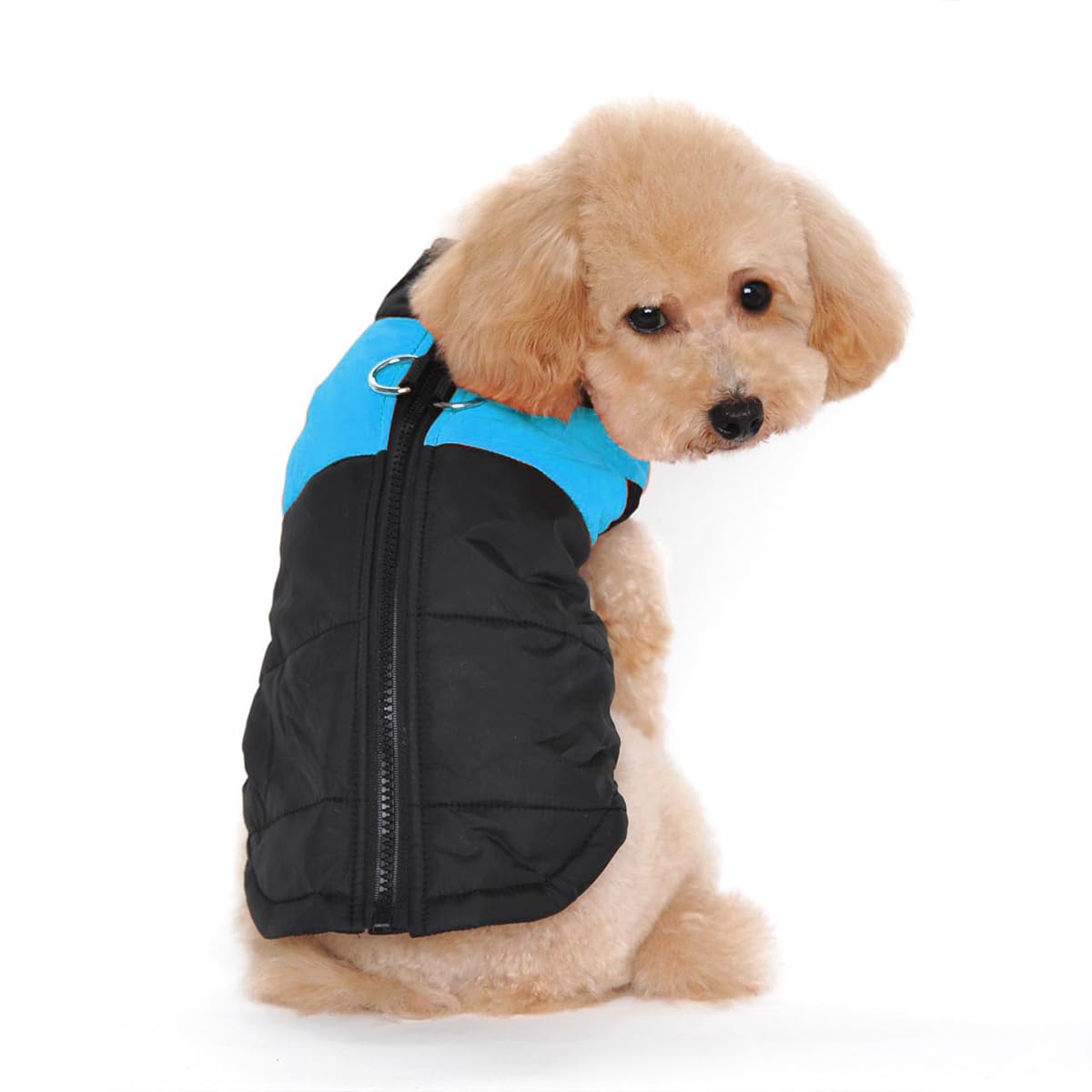 Ectkuee Waterproof Dog Coat Jacket Warm Padded Puffer Pet Dog Puppy Clothes Vest (Blue,XL)