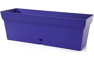 MINTRA OFFICE Mintra Window Box Planter, Window Planter Box for Indoor Outdoor Use, Rectangular Pots with Saucers & Drainage Holes, Decorative Plant Pots for Window Sill, Shelf, Desktop, 19" Wx6.75 H, Purple