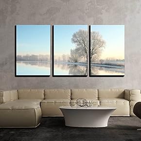 Picturesque Winter Landscape of Frozen Trees Lit by...