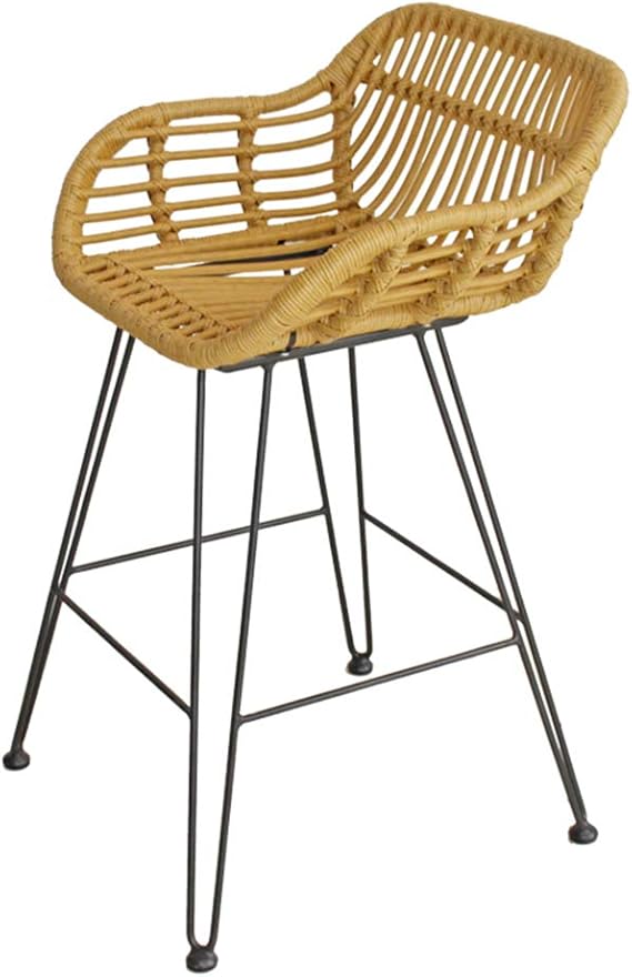 Tabourets de Bar en rotin tissés Chaise avec Chaise Longue intérieure/extérieure Dossier