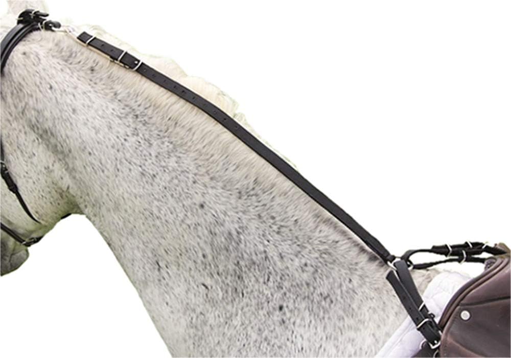 Shires Nylon Daisy Rein Amazon Co Uk Sports Outdoors