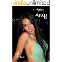 Ladyboy Amy book cover