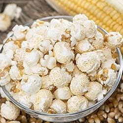 Concession Essentials Premium Gourmet Mushroom
