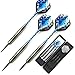 L.E.D STEP Professional Steel Tip Darts Set with Dart Aluminum Shafts and Flights Standard (FB06-23Grams)
