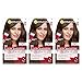 Garnier Color Sensation Hair Color Cream, 5.0 Chocolate Therapy (Medium Natural Brown), (Pack of 3) (Packaging May Vary)