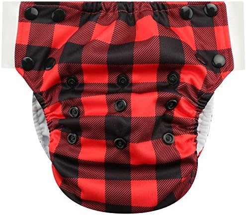 HappyEndings Toddler/Kid Pull On Reusable Cloth Diapers/Training Pants (Medium, (Fits 35-50lbs), Buffalo Plaid)