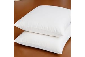 LunarTex 22 x 22 Inches Throw Pillow Inserts Set of 2 Decorative Down Alternative Pillow Filler for Cushion Covers