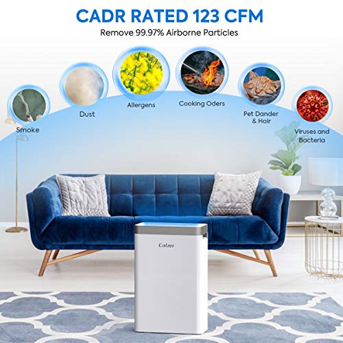 COLZER Air Purifier with True HEPA Air Filter, Air Purifier for Bedroom, for Spaces Up to 550 Sq Ft, Perfect for Home/Office with Composite Filter