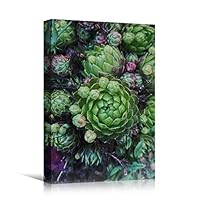 Canvas Wall Art Green Succulents Colorful Farmhouse/Country Floral Multicolor Patterns Photography - 12x18 inches
