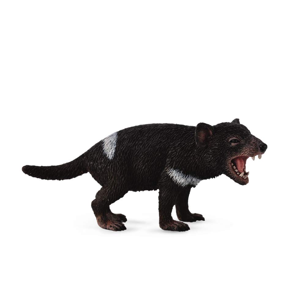 CollectA Tasmanian Devil