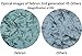 FEBRON Hair Fibers For Thinning Hair LIGHT BROWN Giant 30G For Women & Men Hair Loss Concealer Hair Powder Volumizing Based 100% Undetectable & Natural - Bald Spots Filler