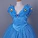 JerrisApparel Flower Girls Dress Princess Costume Butterfly Girl (140, Blue with Accessories)