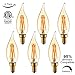 LiteHistory Dimmable 4W 2200K Amber CA10 led Bulb E12 Candelabra led 250lm, Warm White, 40W Flame tip 6Pack