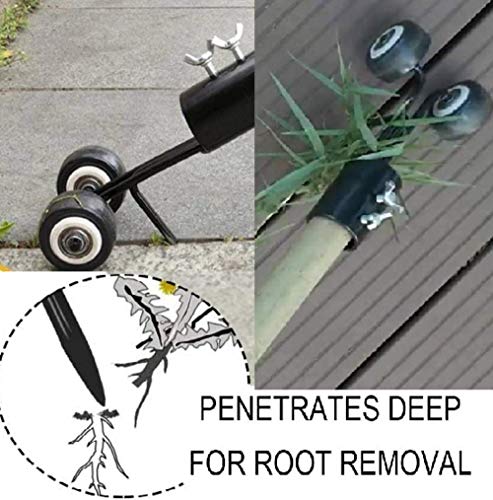 Weed Removal Tool + Bonus Garden Gloves | Standing Weed Puller Tool Stand Up Weeder | Crack and Crevice Weeding Tool | Weed Remover | Weed Grabber | Weed Wiper | Crack Weeder | Sidewalk Weeder