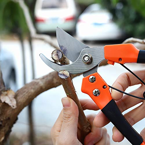 Bypass Pruning Shears for Gardening Ergonomic, Garden Shears Pruning