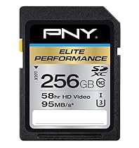 PNY Elite Performance 256 GB High Speed SDXC Class 10 UHS-I, U3 up to 95 MB/Sec Flash Card (P-SDX256U395-GE)