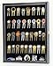 sfDisplay.com,LLC. Golf Ball Divot Tool Markers Coin Chips Medallion Display Case Cabinet Holder (Black Finish)