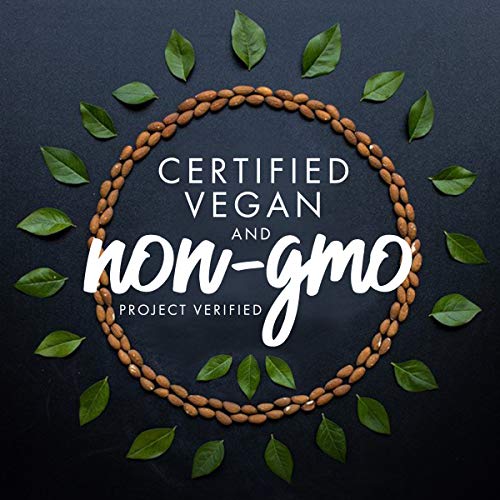 4 Delicious+Coconutmilk+Vanilla+Dessert+Sandwiches