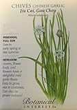 Chinese Garlic Chives Seeds - 1 gram - Perennial Herb